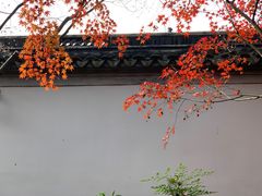 -秋霞圃
