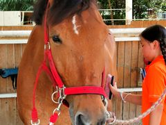 -金庭庄园酒店-停车场