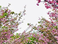 -观澜湖生态运动公社