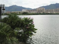 -飞来湖湿地公园