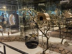 -绿色星球动物主题公园