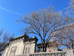 -山西王家大院