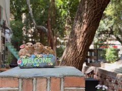 -樹下遇见树·咖啡