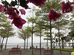 -深圳湾公园(南山区)