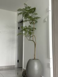 点击看大图 -翎兰瑜伽·普拉提