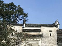 -塔川景区
