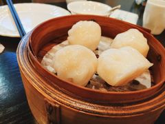添运来虾饺皇-添运来(茶园奥园广场店)