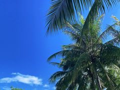 -三亚南山文化旅游区