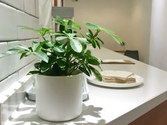 -Onirii Coffee(长乐路店)