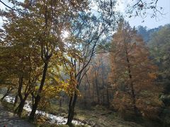 -秦岭终南山世界地质公园翠华山景区
