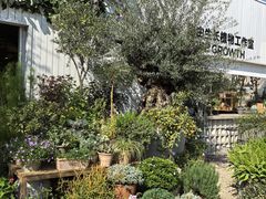 -自由生长植物工作室(深港花卉中心店)