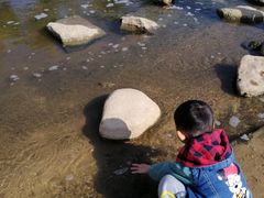 -光明小镇欢乐田园
