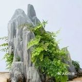 山石盆景如何安全度夏？