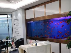 -牙博士口腔品牌连锁(杨浦店)