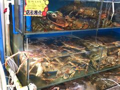 -蚝专家(北滘店)