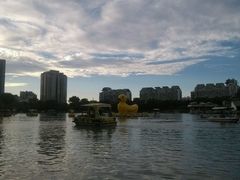 android_upload_pic-紫竹院公园冰场
