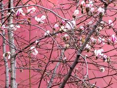 -东华门大街小区