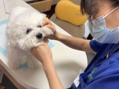 -联合动物医院(光谷诊疗中心)