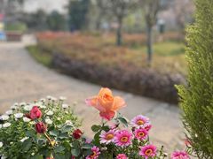 -叁山与肆客服号民宿(龙泉阳光城百工堰公园店)