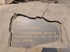 -包头博物馆