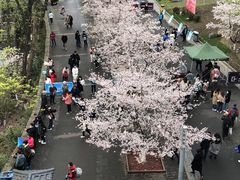 -九华山公园