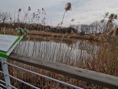 -西湖风景区-江洋畈生态公园