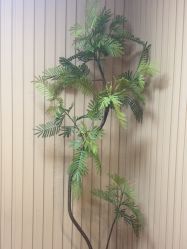 -小梨·OndaPro·专业脱毛连锁机构