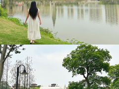 -美的鹭湖森林度假区