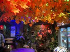 -醉小酒馆·川菜·江湖菜·重庆菜(观音桥旗舰店)