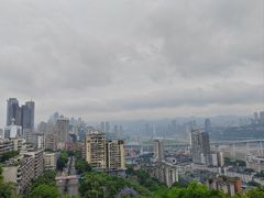 -喧闹·东方大气茶(鹅岭二厂店)
