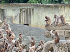 -常州淹城野生动物世界