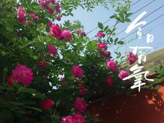 -北京石刻艺术博物馆