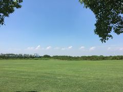 球场-滨海高尔夫俱乐部