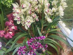 -国家植物园南园