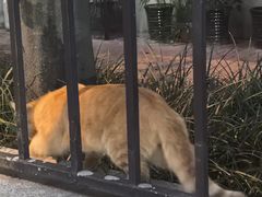 -李叔同故居纪念馆