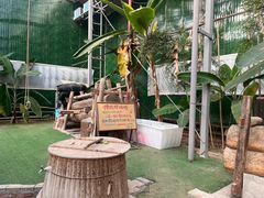 -呀路古热带植物园