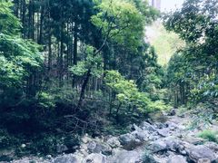 -雁荡山大龙湫景区