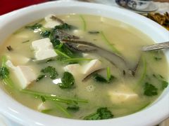 鳝骨芫茜豆腐汤-台山第一家兴华黄鳝饭·黄鳝婆(开平店)