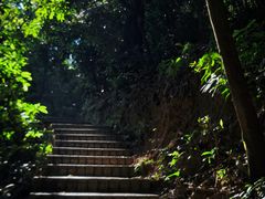 -广州市白云山风景名胜区