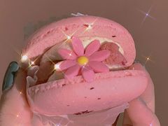 半熟花花马卡龙玫瑰双莓芝士味-好利来(团结湖店)