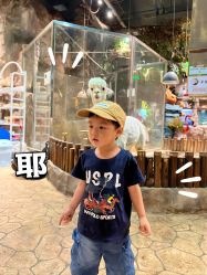 -宝燕乐园(闵行旗舰店)