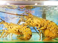 -蟹皇海鲜餐厅