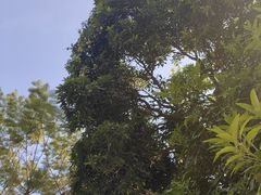 -红花山公园