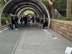 -人民公园-相亲角