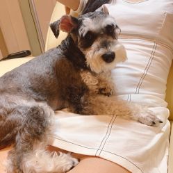 -Adore nail日式美甲美睫