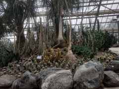 -南山植物园