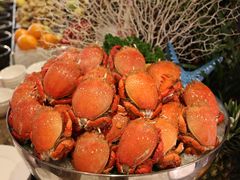 -海鲜自助餐厅·株洲大汉希尔顿酒店