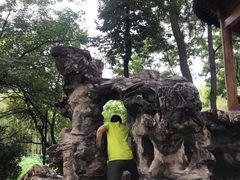 -莲湖公园