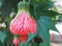 -南通洲际绿博园