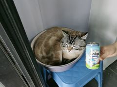 -簋街
